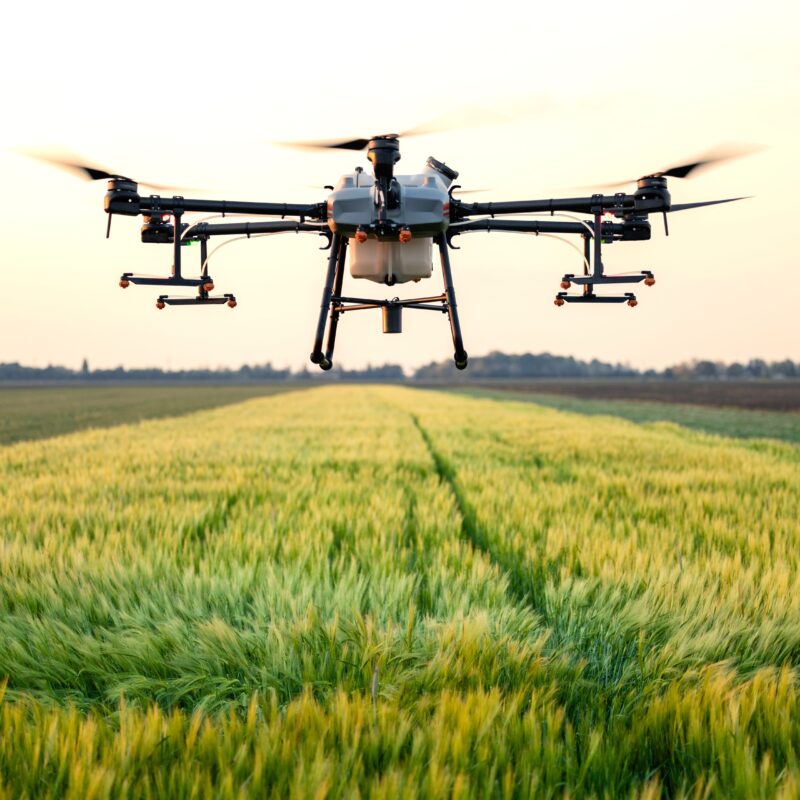 Bomran Ltd | Games Workshop | Vallejo Paints & Hobby Supplies | Drones | Duncan Rhodes Painting Academy