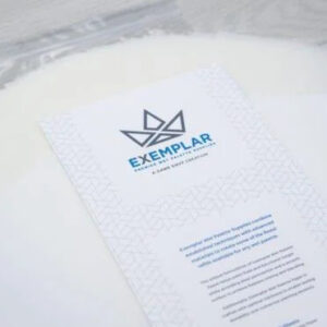 Game Envy: Wet Palette Paper Refills - All Sizes