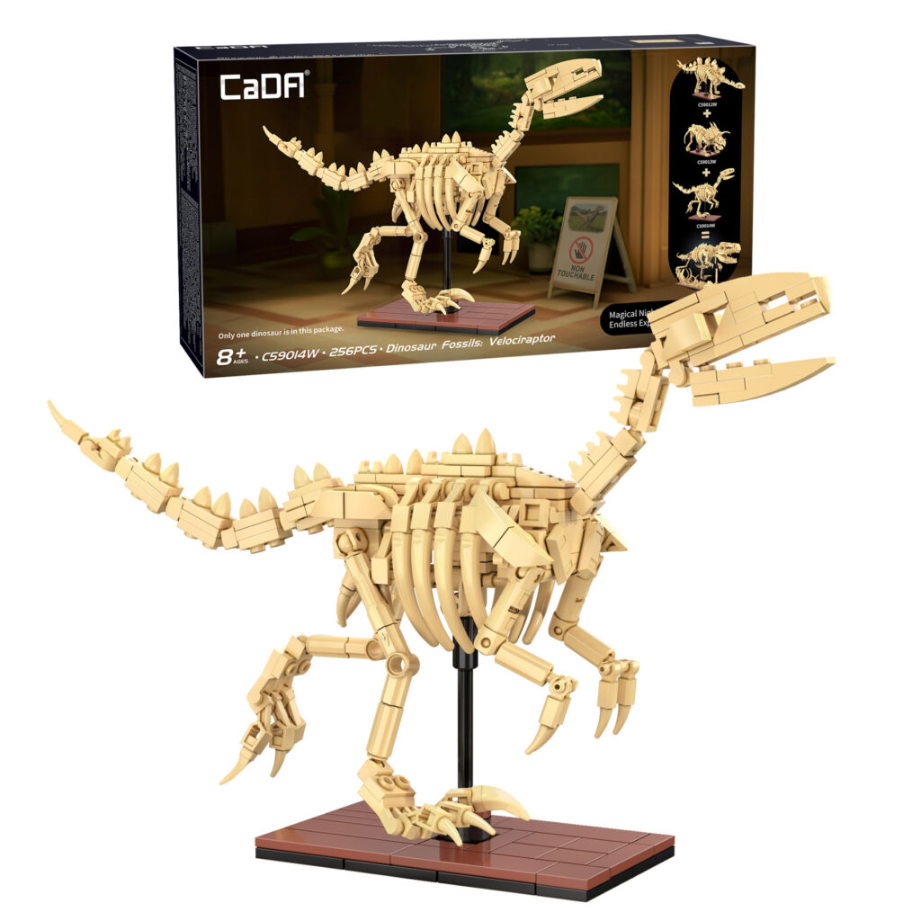 CaDA Dinosaur Fossils: Velociraptor